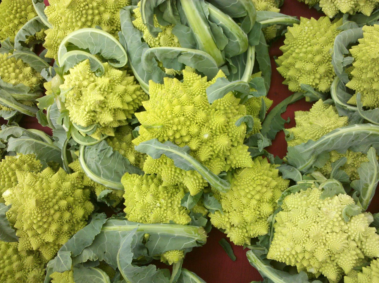 Food Purification Romanesco