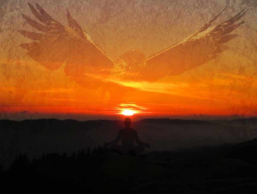 Staying in Awareness - Sun Hawk