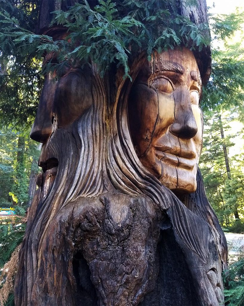 Sermon - Sean Michael Imler - Confusion Hill