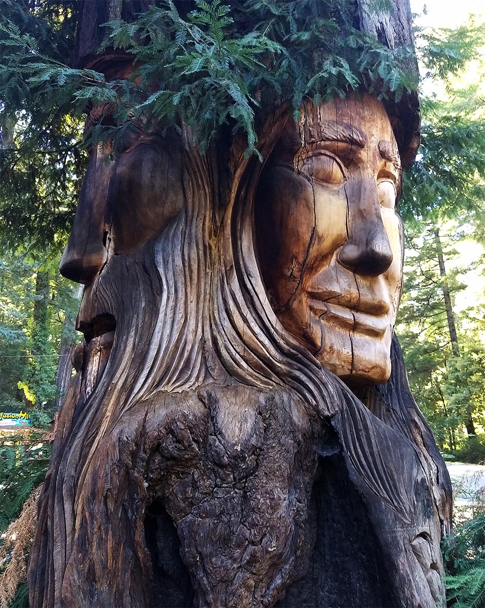 Sermon - Sean Michael Imler - Confusion Hill