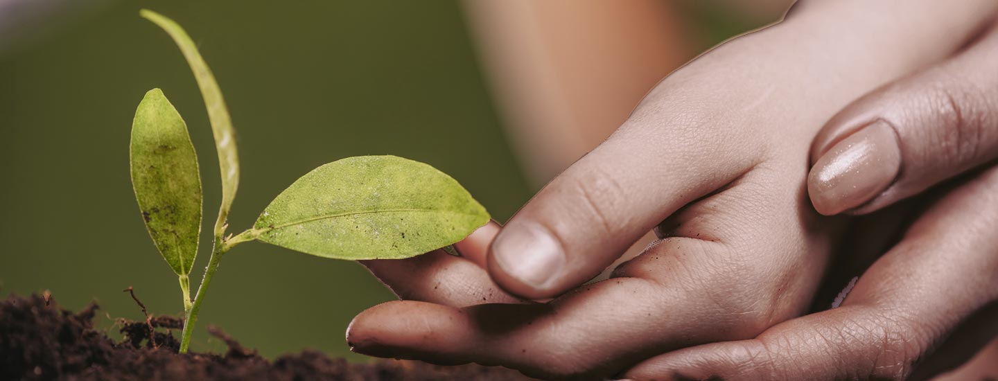 Understanding Your Soul’s Purpose in Life