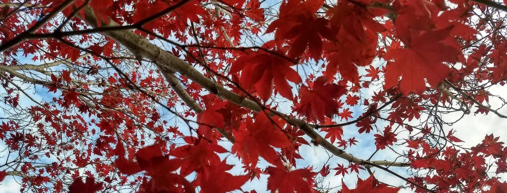 Coaching is Awesome When You Know What It Is