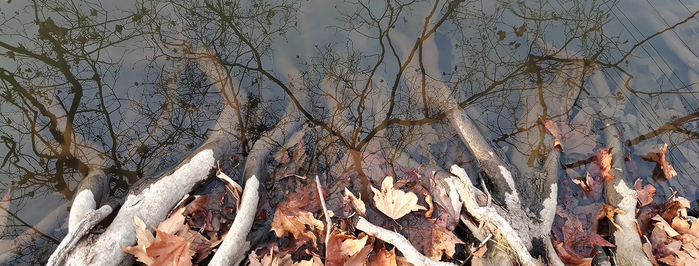 Unusual Intimate Relationships image