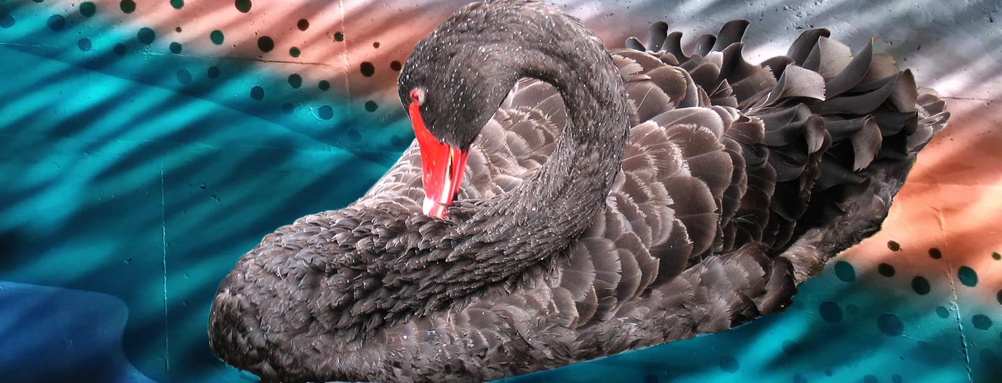 How to Connect With Your Spirit Guides and Guardian Angels