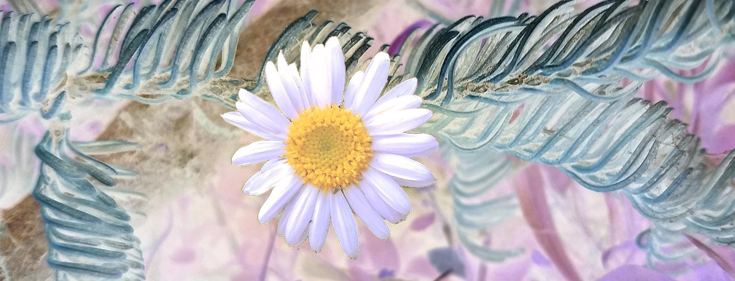 Differences of Attitude and Mindset