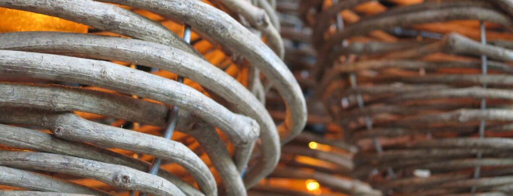 Focus: The Science and Spirituality Behind Focusing Your Mind