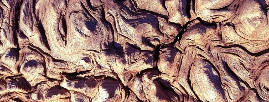 Habits, Addictions, Patterns: How to Retrain the Brain