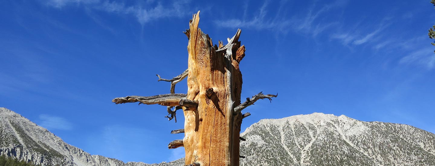 What is The Higher Self Compared to The Soul?