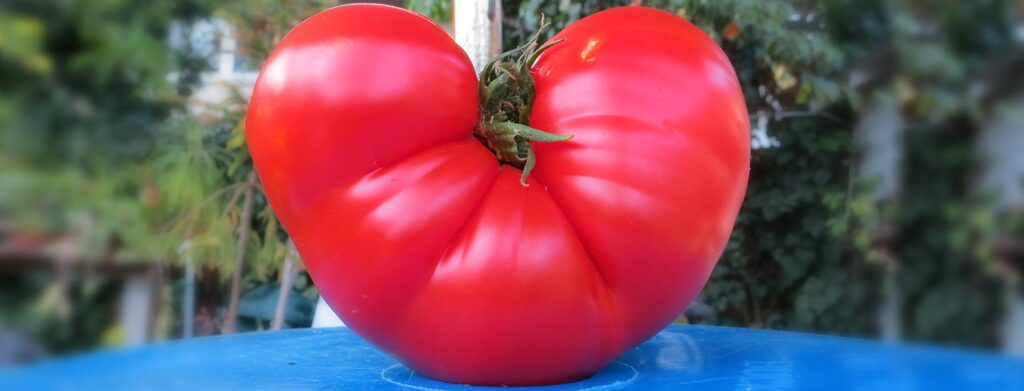 How to Eat Healthy and Feel Good