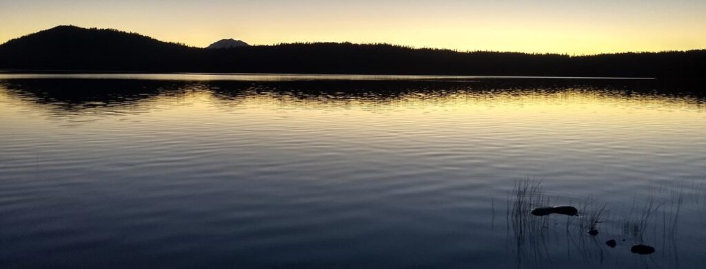 How to Escape From Being Affected By Energy and Empathy