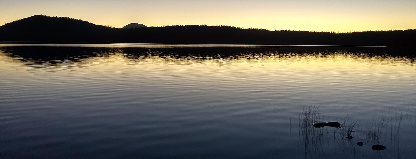 How to Escape From Being Affected By Energy and Empathy