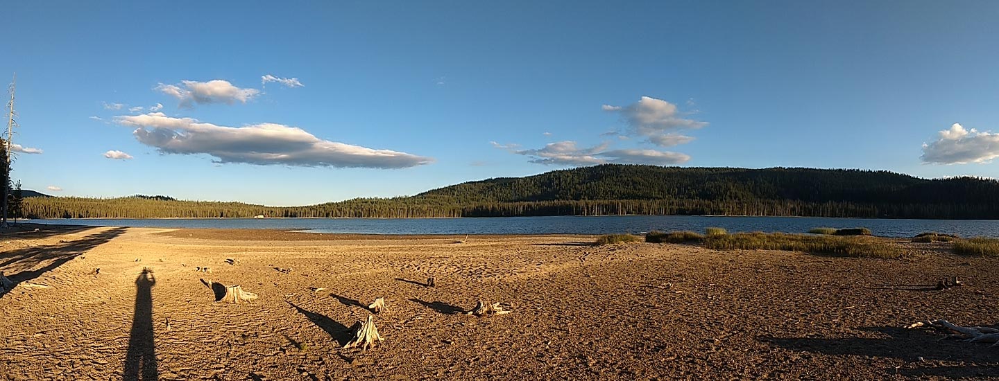 How to Hunt Down the Right Coach