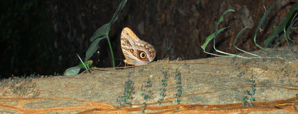 What Mindset Will Free Your Mind?