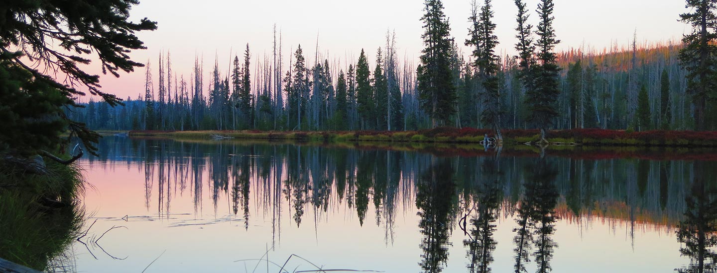 Insightful Perspectives on Reincarnation