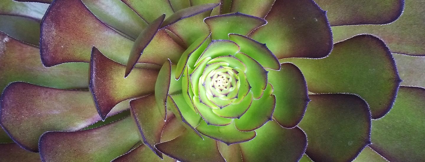 Not Being Limited by Scientific Explanation