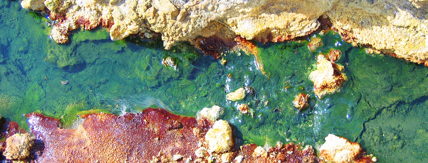 The Secrets of Productivity and How to Overcome Inertia