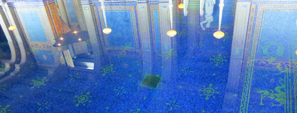 The Beautiful Differences of the Consciouses