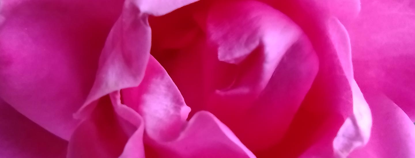 The Facets of The Soul From Many Spiritual Traditions