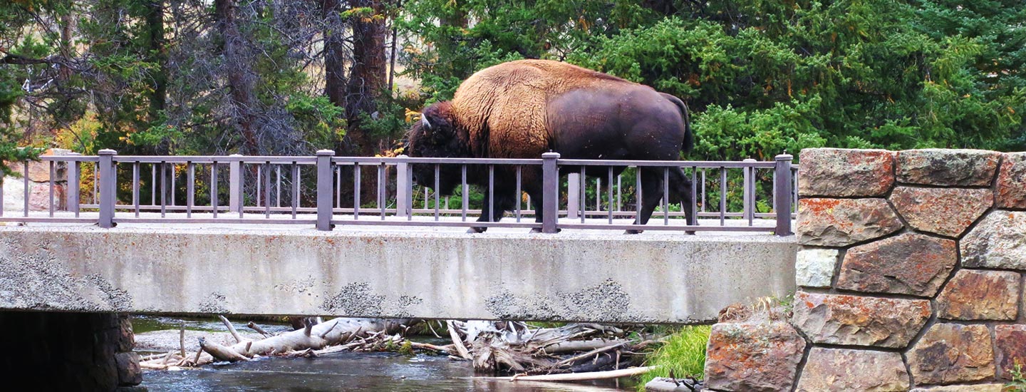 The Source of Love From Spirit Guides